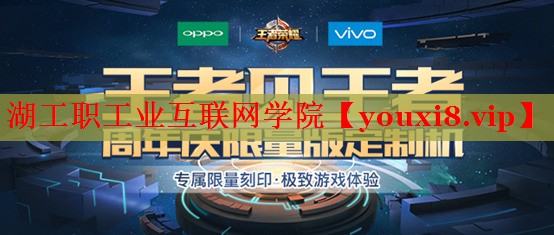 湖工职工业互联网学院 湖工职工业互联网学院