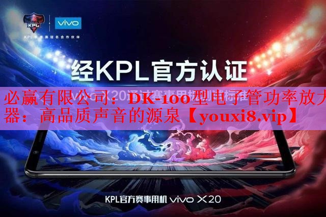 DK-100型电子管功率放大器:高品质声音的源泉 DK-100型电子管功率放大器:高品质声音的源泉