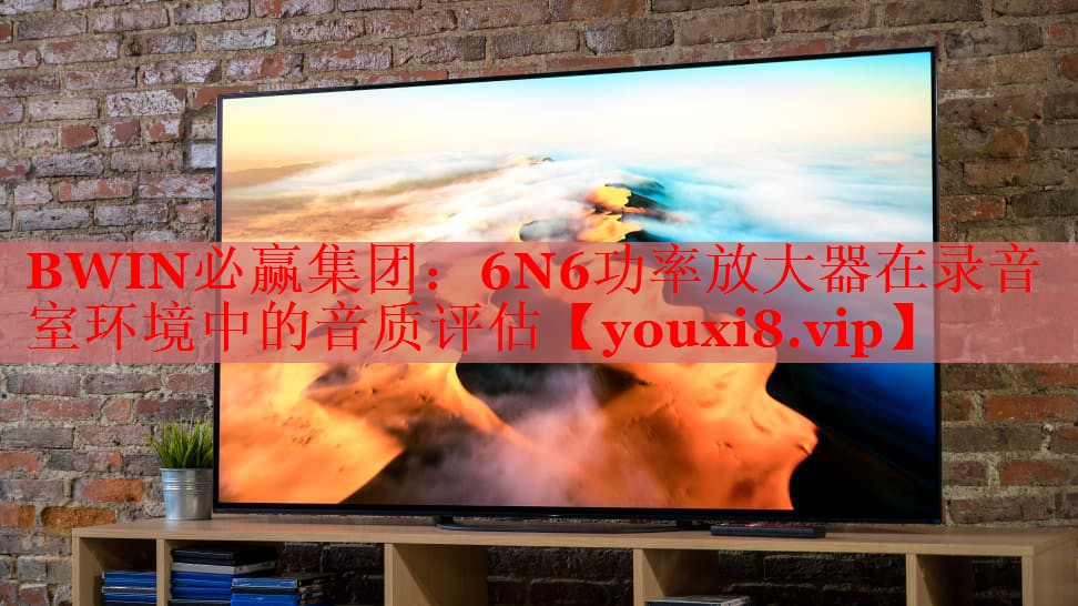 6N6功率放大器在录音室环境中的音质评估 6N6功率放大器在录音室环境中的音质评估