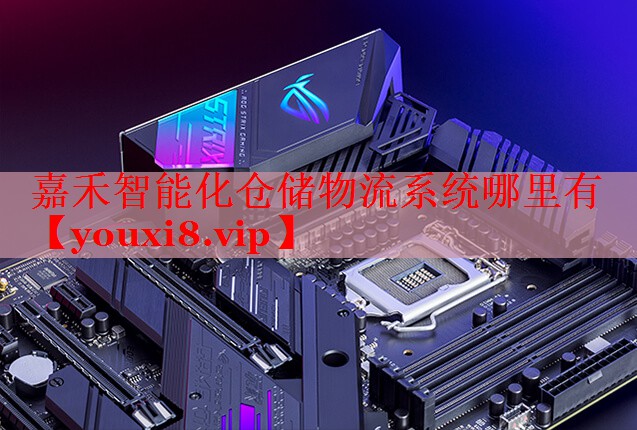 嘉禾智能化仓储物流系统哪里有 嘉禾智能化仓储物流系统哪里有