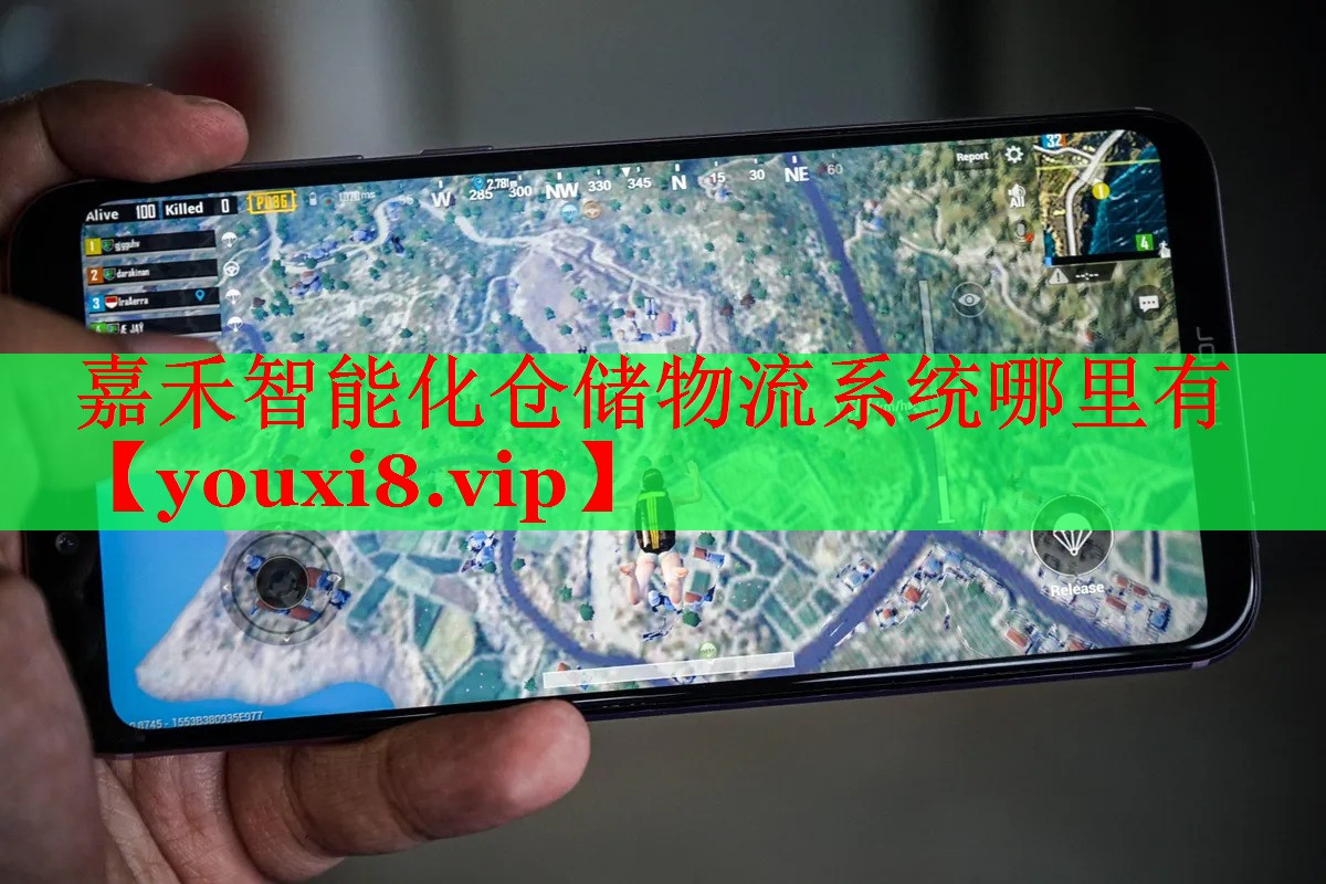 嘉禾智能化仓储物流系统哪里有 嘉禾智能化仓储物流系统哪里有