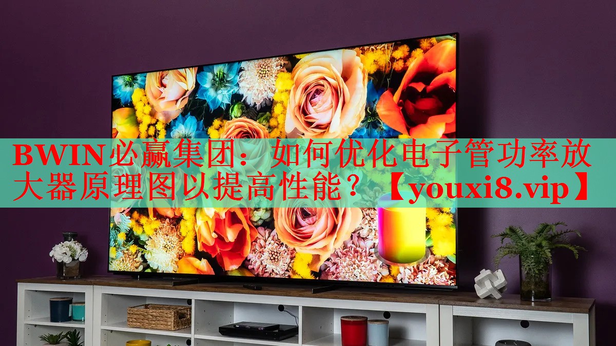 如何优化电子管功率放大器原理图以提高性能? 如何优化电子管功率放大器原理图以提高性能?