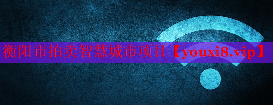 衡阳市拍卖智慧城市项目 衡阳市拍卖智慧城市项目
