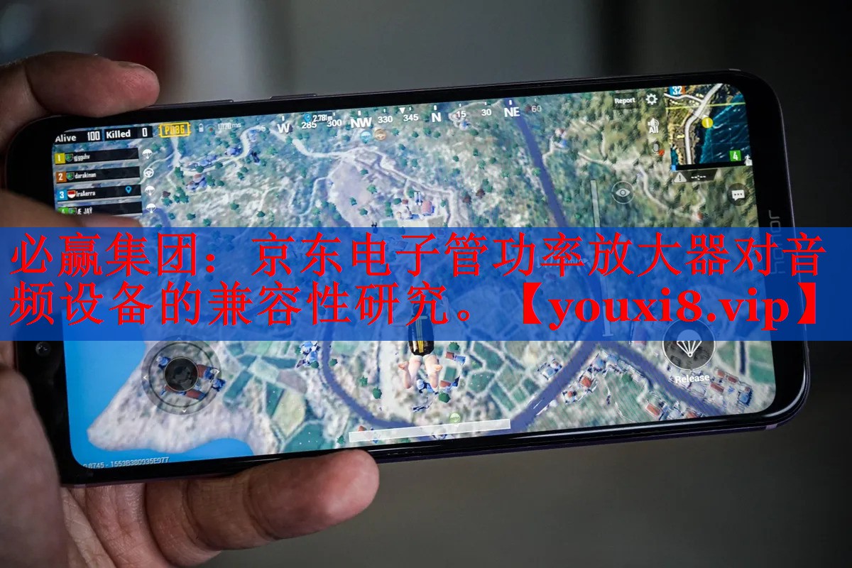 京东电子管功率放大器对音频设备的兼容性研究。 京东电子管功率放大器对音频设备的兼容性研究。