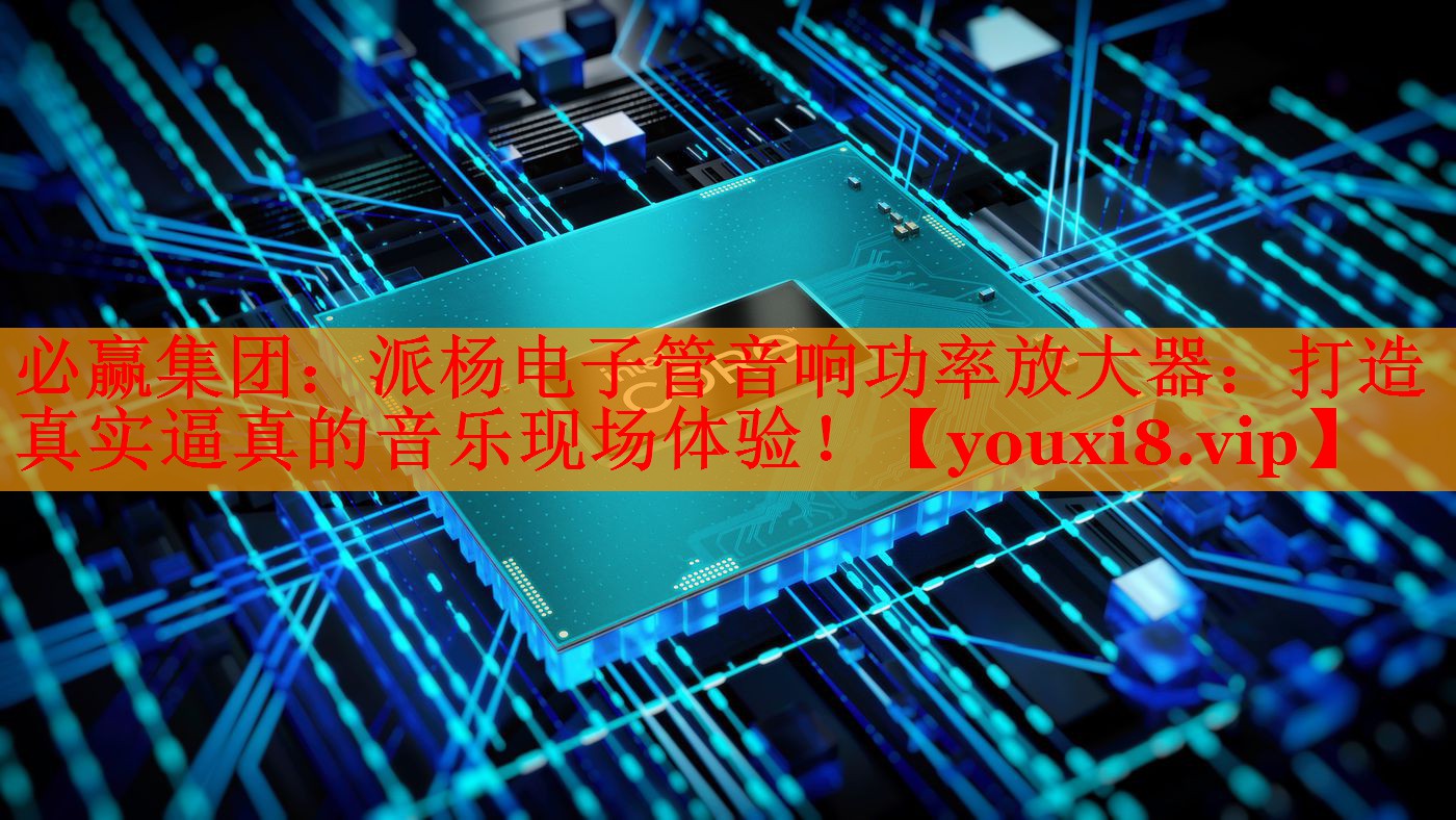 派杨电子管音响功率放大器:打造真实逼真的音乐现场体验! 派杨电子管音响功率放大器:打造真实逼真的音乐现场体验!