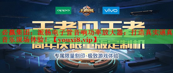 派杨电子管音响功率放大器:打造真实逼真的音乐现场体验! 派杨电子管音响功率放大器:打造真实逼真的音乐现场体验!