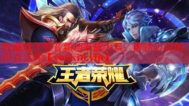收藏电子管音频功率放大器:解锁心灵的声音宝库 收藏电子管音频功率放大器:解锁心灵的声音宝库